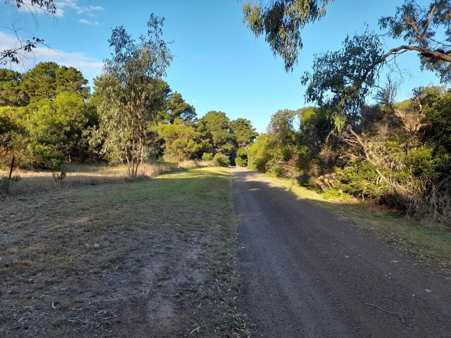 הוילה Bellbrae Bells Beach Family Retreat מראה חיצוני תמונה